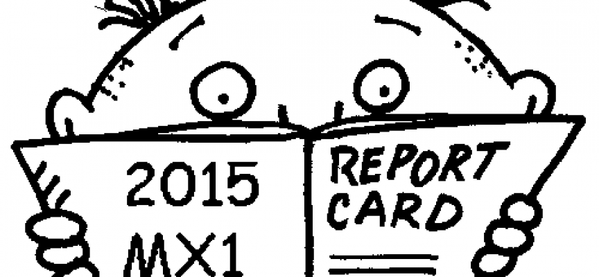 2015 MX1 – Report Card