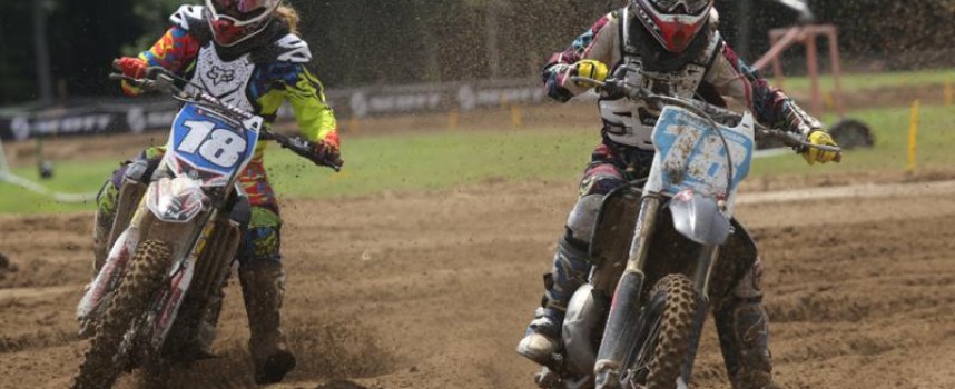 Out of the Blue: Danielle Bechard