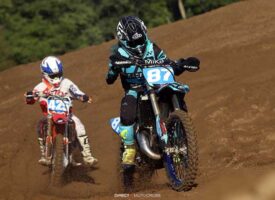 Out of the Blue | Shelby Bradley | Presented by Schrader’s