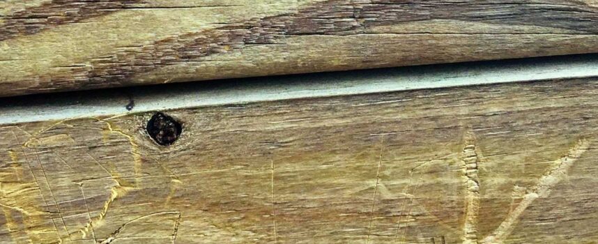 Off the Cuff with Jacqueline Ross – January 2021