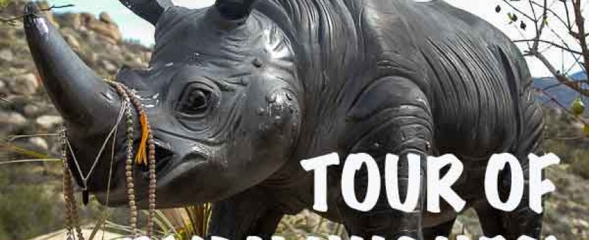 Video | A Tour of Ryan Hughes’ Place