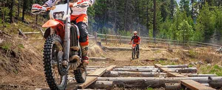 Out of the Blue | Kristin Parke | Brought to You by Schrader’s