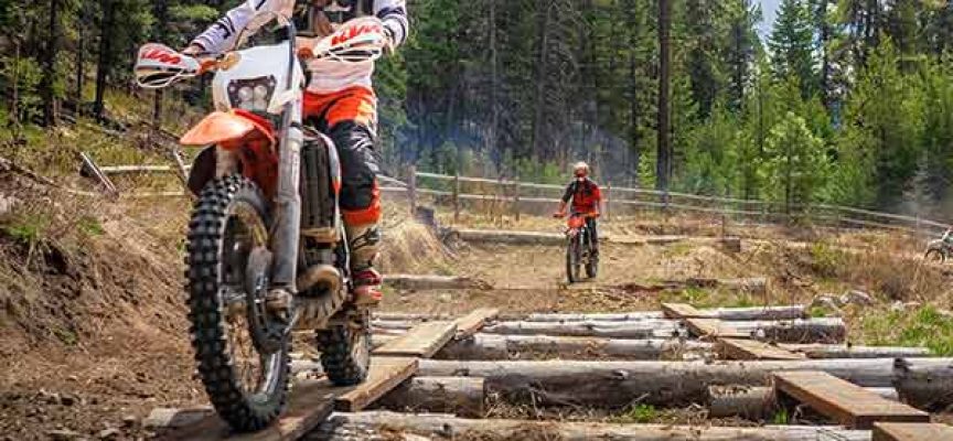 Out of the Blue | Kristin Parke | Brought to You by Schrader’s