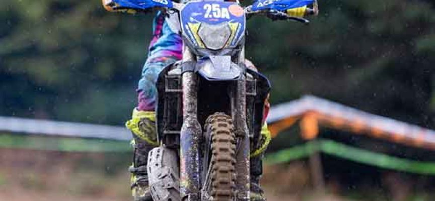 Out of the Blue | Rose Lantaigne | Brought to You by Schrader’s