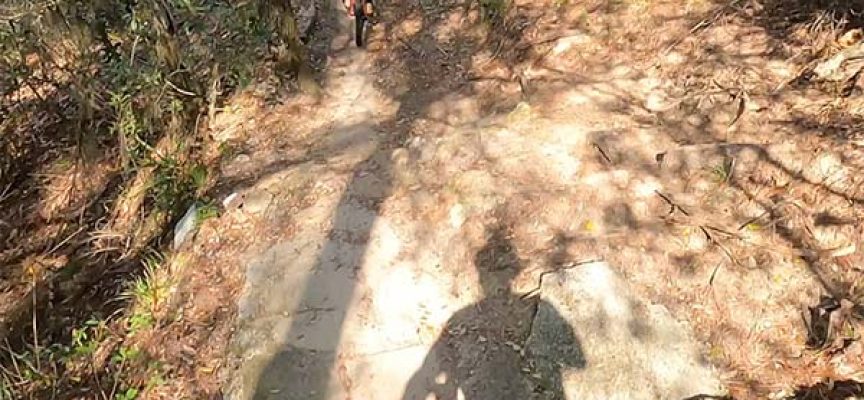 Video | MTB Loop of Graham Swamp in Florida