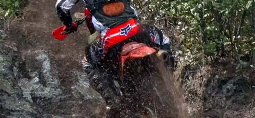 Video | Tyler Medaglia 3rd in XC2 at 2024 WIld Boar GNCC