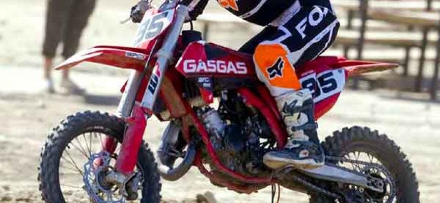 Out of the Blue | Sophie Leuenberger | Brought to You by Schrader’s