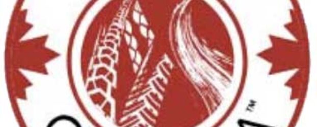 She Rides! at the Toronto Motorcycle and Powersport Show