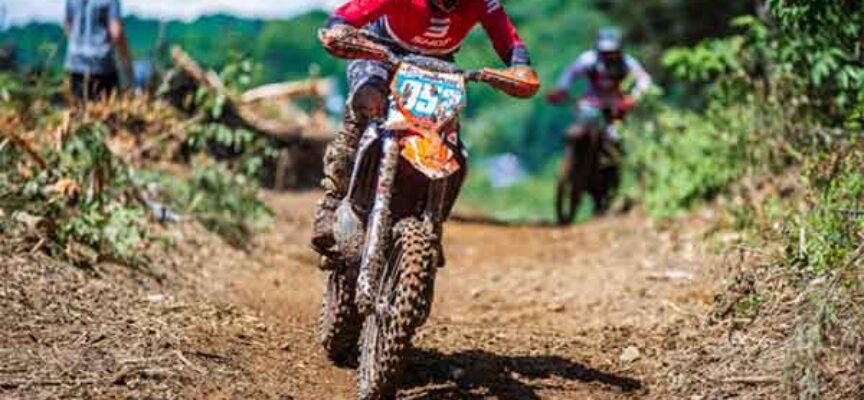 Out of the Blue | Megan Sharpless | Brought to You by Schrader’s