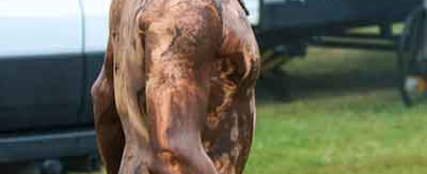 Faces at the Races | 2025 River Glade MX National