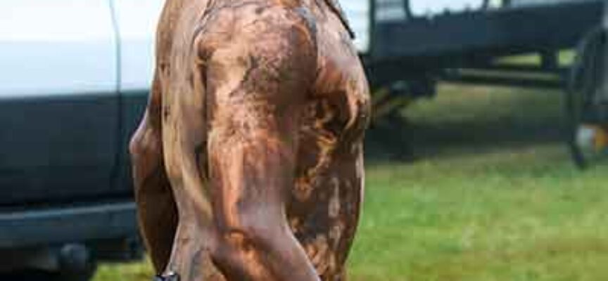 Faces at the Races | 2025 River Glade MX National