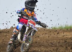 Out of the Blue | Erika Somers | Brought to You by Schrader’s