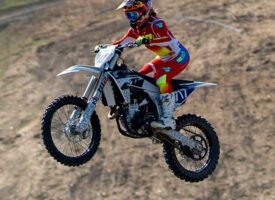 Out of the Blue | Shaye Strain | Brought to You by Schrader’s