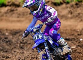 Out of the Blue | Rowyn Hurd | Brought to You by Schrader’s